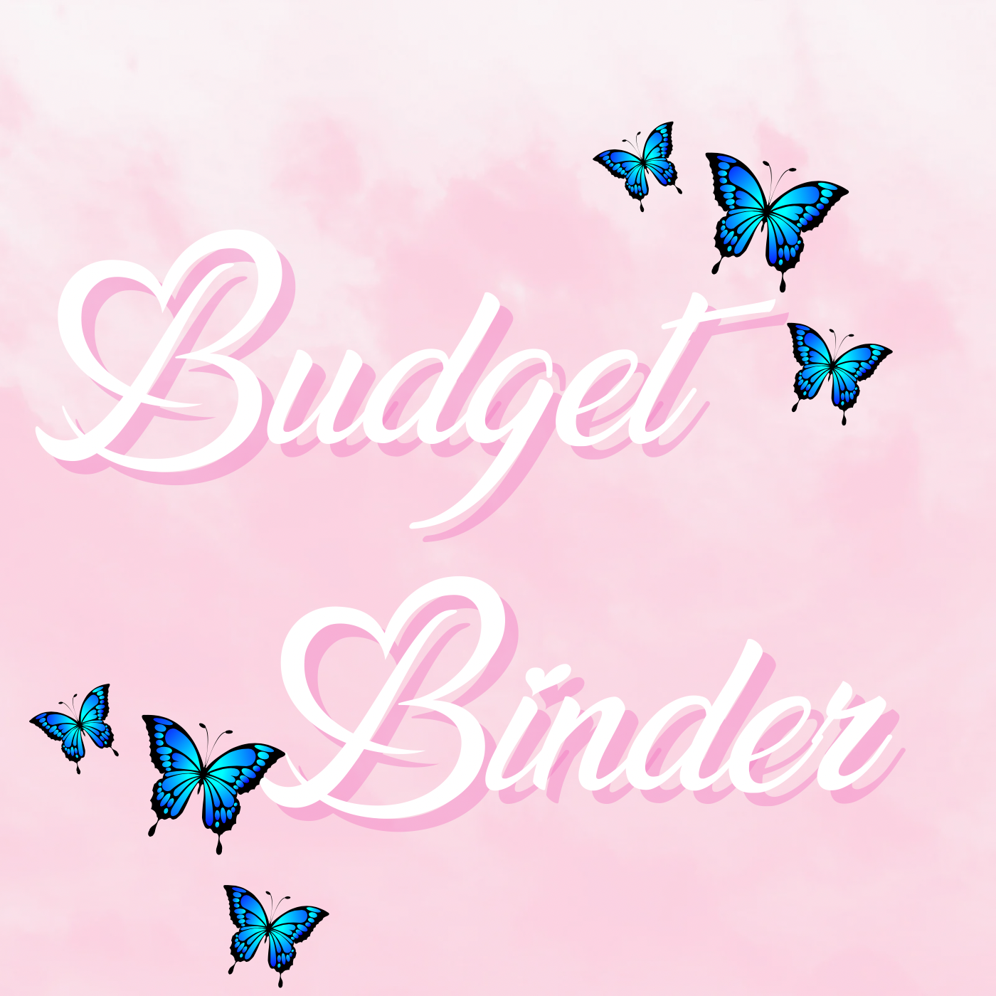 Budget binder